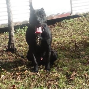 Meet your Posher, Thurmond